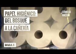 Enlace a Así se fabrica el anhelado papel higiénico