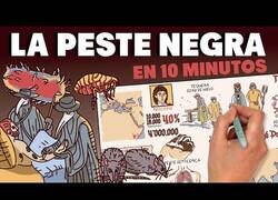 Enlace a La historia de la peste negra