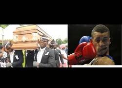 Enlace a Coffin Dance Meme (Versión Boxeo)