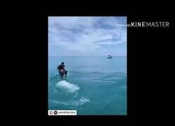 Enlace a El bote invisible