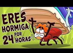 Enlace a ¿Qué pasaría si te convirtieses en una hormiga por un día?