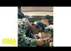 Enlace a El truco definitivo para que tu perro se deje cortar las uñas