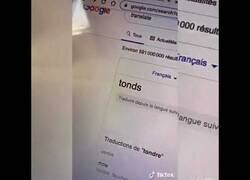 Enlace a Decían que aprender francés era fácil...