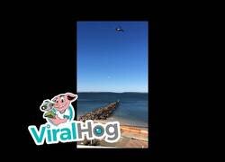 Enlace a Utilizando un dron para pescar desde casa