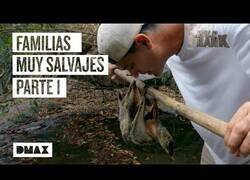 Enlace a Wild Frank encontrando familias de animales