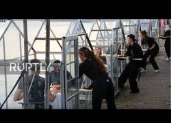 Enlace a Mini invernaderos, la solución para las terrazas en Amsterdam