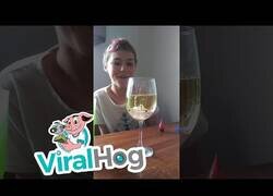 Enlace a Creando una lámpara de lava casera