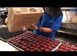 Enlace a Los trabajadores más rápidos del mundo