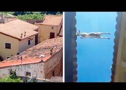 Enlace a Unas cabras hacen parkour por los tejados de un pueblo en Zaragoza