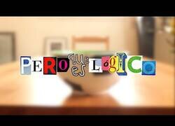 Enlace a La cuarentena no tiene lógica