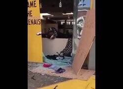 Enlace a Los manifestantes devuelven los objetos saqueados a las tiendas de EEUU