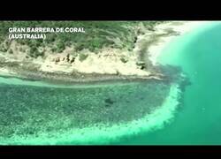 Enlace a La preocupnate decoloración de la barrera coral australiana
