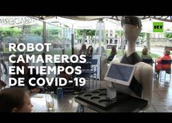 Enlace a Los primeros 'robots camareros' implementados en España