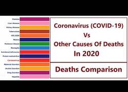 Enlace a Comparando el coronavirus con otras causas de muerte en 2020