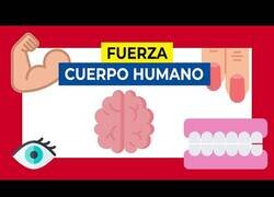 Enlace a La fuerza del cuerpo humano en datos