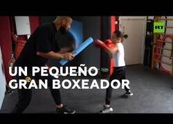 Enlace a Un niño de 8 años con grandes habilidades para el boxeo