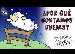 Enlace a ¿Por qué contamos ovejas para ir a dormir?