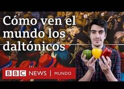 Enlace a ¿Cómo perciben el mundo los daltóncios?