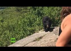 Enlace a La tranquilidad con la que debes reaccionar si te encuentras con un oso
