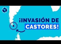 Enlace a Ushuaia y sus problemas con los castores