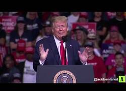 Enlace a Trumpito de la Calzada, por @acidoenlared