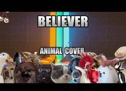Enlace a 'Believer' de Imagine Dragons interpretada por animales