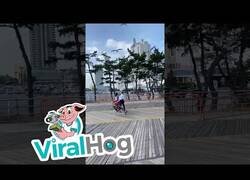 Enlace a Una bandada de gaviotas persiguen la pizza de un hombre