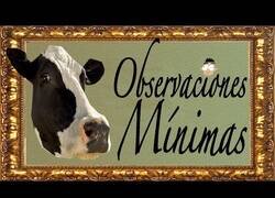 Enlace a Observando mínimamente los envases de leche