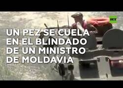 Enlace a Un pez se cuela en el blindado de un ministro de Moldavia