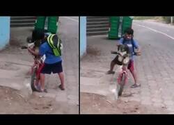 Enlace a Un niño pone la mascarilla a su perro para ir de paseo en bicicleta