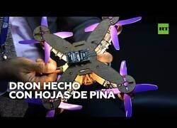 Enlace a Fabrican un dron hecho con hojas de piña