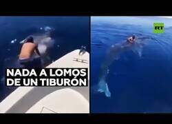 Enlace a Un saudí salta al Mar Rojo para montar a lomos de un tiburón