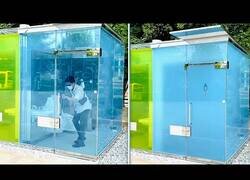 Enlace a Estos son los curiosos baños públicos que puedes encontrar en la ciudad de Shibuya (Japón)