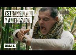 Enlace a Momentos en los que la vida de Wild Frank corrió peligro