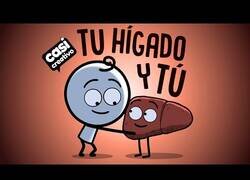 Enlace a Así tratamos a nuestro hígado durante nuestra vida