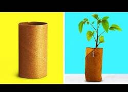 Enlace a Increíbles usos que puedes darle a los rollos de papel higiénico