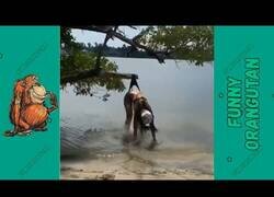 Enlace a Fails de chicas