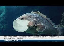 Enlace a El Mundo Today nos trae las fake news más rigurosas de la actualidad