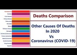 Enlace a Comparativa: Coronavirus vs otras causas de muerte en 2020