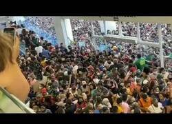 Enlace a En Brasil están fatal en medio de la pandemia del covid, y esto es lo que pasa cuando abre una gran tienda