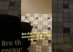 Enlace a Nunca hay que perder el espíritu de Halloween