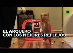 Enlace a Un gato se convierte en el mejor portero de fútbol