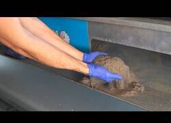 Enlace a La increíble cantidad de polvo que puede llegar a acumularse en una alfombra