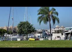 Enlace a Cómo NO aparcar un yate