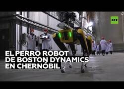 Enlace a Un perro robot llega a Chernóbil para detectar radiación