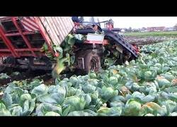 Enlace a Máquinas y equipos para diversas tareas