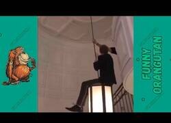 Enlace a Ideas realmente malas