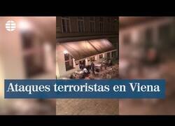 Enlace a Las impactantes imágenes de los ataques terroristas sucedidos ayer en Viena
