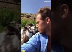 Enlace a Nunca discutas con una cabra