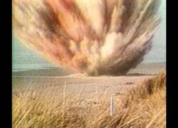 Enlace a El día que decidieron explosionar el cadáver de una ballena y no salió del todo bien